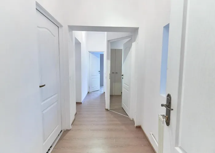 Stanford Gara De Nord